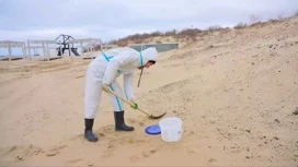 In Anapa wird drei neue Methoden der Reinigung von Sand aus Heizöl testen