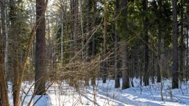 До +10...+15°С прогреется воздух в Удмуртии