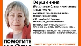 Новосибирский суд приговорил к 8,5 годам заключения убийцу Ольги Вершининой