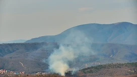 Forest fire on the Black Sea coast managed to extinguish