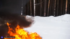 Мужчина погиб при пожаре в жилом доме в городе Асино