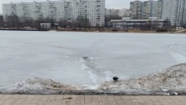 Женщина погибла, провалившись под лед на востоке Москвы