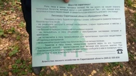 В Саратовской области увеличат финансирование на профилактику возгораний в лесах