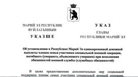 Членам семьи погибшего участника СВО из Марий Эл будут выплачивать 1 млн рублей