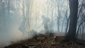 Les employés de l'EMERCOM de Russie ont éteint un feu de forêt dans le parc national de Sotchi