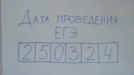 В поселке Емельяново родители написали пробный ЕГЭ по истории