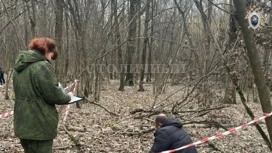 Drei Teenager schlugen einen Mann zum Tode in Butovo Waldpark in Moskau