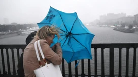 Storm wind in Moscow reached 24 m / s