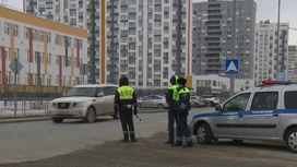 Тюменские сотрудники ГИБДД проводят Дни детской дорожной безопасности