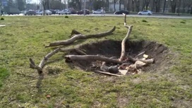 На Кубани продолжают голосовать за благоустройство