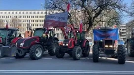 Польские власти могут уступить требованиям протестующих фермеров