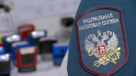 ФНС: поступления налогов в бюджет вырастут в 2024 году на 12%