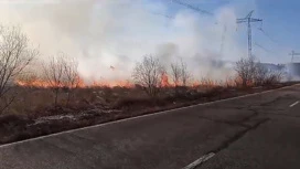 Особый противопожарный режим введен в шести муниципалитетах Приамурья