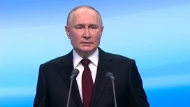 Путин набирает 87,15% голосов на выборах президента после обработки 80% протоколов