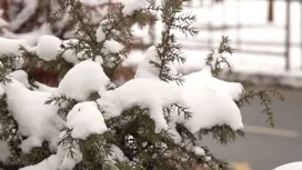 Il fait encore très froid à Kuban