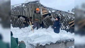 В Ярославской области из-за рухнувших крыш завели административные дела на УК