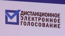 В электронном голосовании на выборах президента приняли участие 40 тысяч москвичей