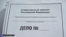 Житель Колпашева обвиняется в убийстве молодой подруги