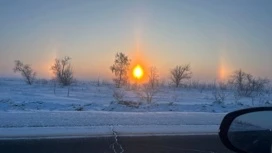 Небольшой мороз без существенных осадков прогнозируют в Оренбуржье 14 марта