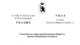 В Марий Эл с 15 по 17 марта будет действовать режим повышенной готовности