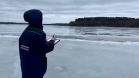 В Ленобласти нашли тела водителя и пассажира, утонувших в озере вместе с машиной