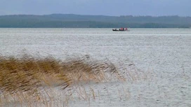 Карелия вновь присоединяется к федеральной акции по уборке берегов озер и рек