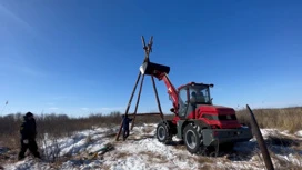 В Муравьевском парке готовятся к возвращению пернатых обитателей