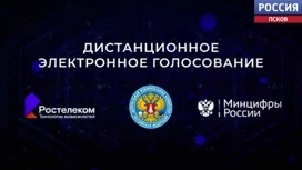 Сегодня последний день подачи заявки на участие в дистанционном электронном голосовании на выборах Президента