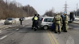 В Вичугском районе произошло ДТП из-за ребенка и собаки