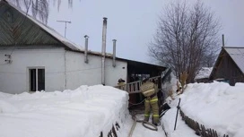 Две девочки и их бабушка погибли при пожаре в Самарской области