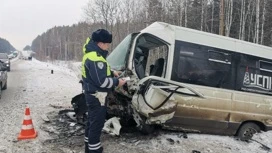 Два человека погибли в ДТП с микроавтобусом в Свердловской области