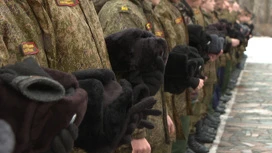 Вместо школьного звонка великие мелодии: "Уроки Победы" начались в Волгоградской области