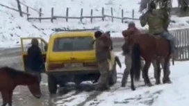 На Украине мужчина с топором напал на сотрудников военкомата