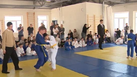 Judo torneo en honor del participante SVO se celebró en Tyumen