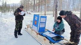 Амурские оленеводы досрочно проголосовали на выборах президента