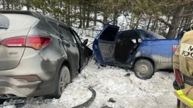 Многодетная семья погибла в ДТП в Челябинской области