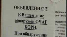 В Екатеринбурге выявили сразу 16 очагов заболевания корью