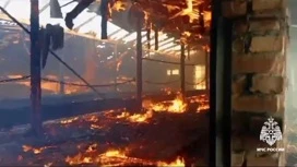 En la región de Stavropol durante un incendio en la granja mató a un hombre, rescató 50 vacas