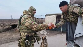 Кубанские казаки за две недели собрали более ста тонн гуманитарной помощи