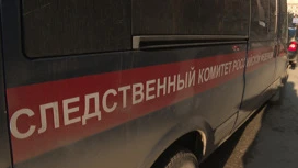 Bastrykin is waiting for a report on the problem with transport in one of the SNT in Volgograd