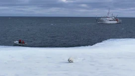 SCMP: La Chine reconsidérera sa présence dans l'Arctique en raison du rapprochement entre la Russie et les États-Unis