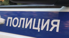 Krasnoyarsk police check information about the “shooting” of dogs in Borodino