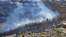 A área de incêndios naturais em Primorye excedeu 2 mil hectares