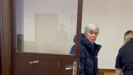 Moscow city court will consider the appeal against the sentence of pediatrician Nadezhda Buyanova