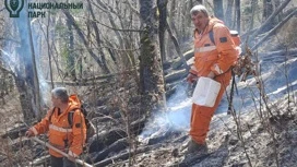 Feu sur le mont Kum à Sotchi éteint