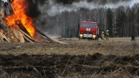 На Кубани снова вспыхнул лесной пожар