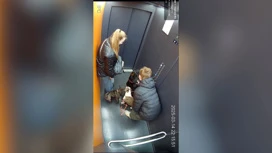 A Balashikha, un giovane ha salvato un cane dalla morte in un ascensore