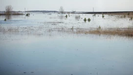 Dans la région de Saratov en raison de l'inondation section fermée des routes