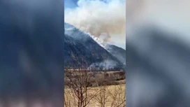 Über 4 Hektar Wald von Feuer in Akhtyn Bezirk Dagestan