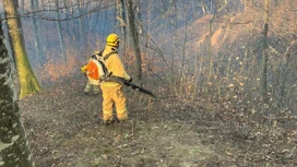 Nas florestas de Sochi na última semana houve quatro grandes incêndios